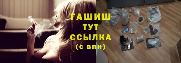 стаф Алзамай