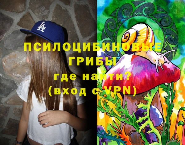 spice Алексеевка