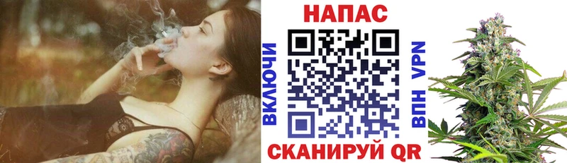 Бошки марихуана конопля  где продают наркотики  Кизилюрт 